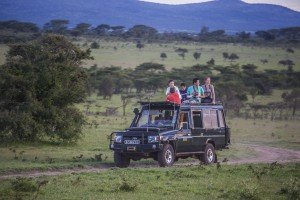 safari-kenya-jeep