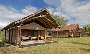 safari-kenya-accomodation-ashnil-aruba-camp