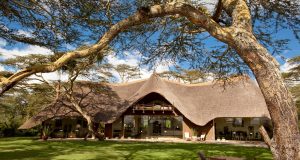 safari-kenya-accomodation-tawi-lodge-amboseli