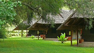 safari-kenya-accomodation-flamingo-hill-camp-lake-nakuru