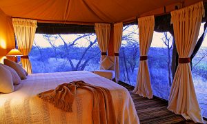 safari-kenya-accomodation-lewa-safari-camp