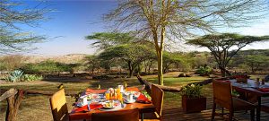 safari-kenya-accomodation-lewa-safari-camp