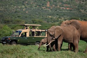 ol-jogi-safari-luxury-kenya-vehicle-jeep